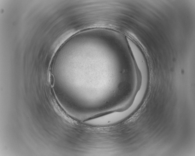 X0000056330900200508261217