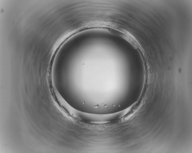 X0000056330901200508261217