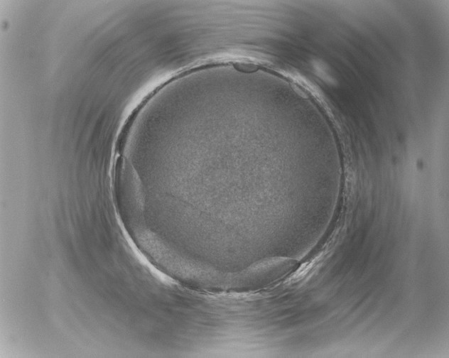 X0000056330902200508261217