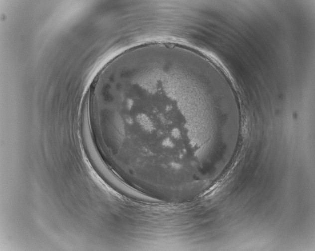 X0000056330903200508261217