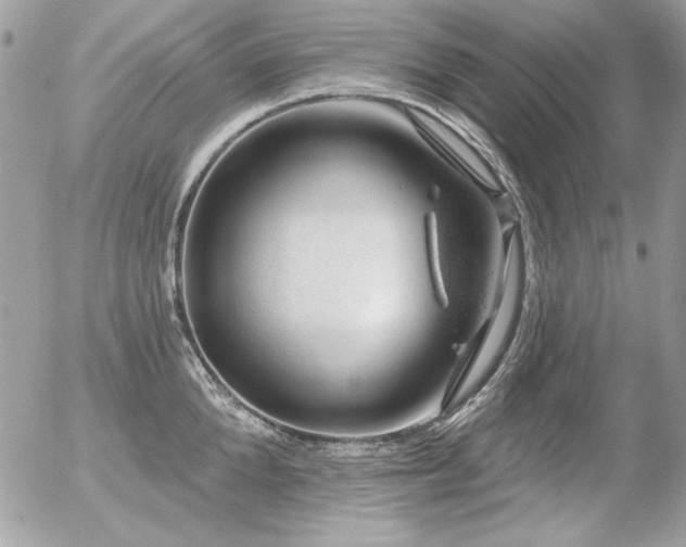 X0000056330904200508261217