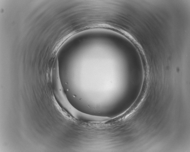 X0000056330905200508261217