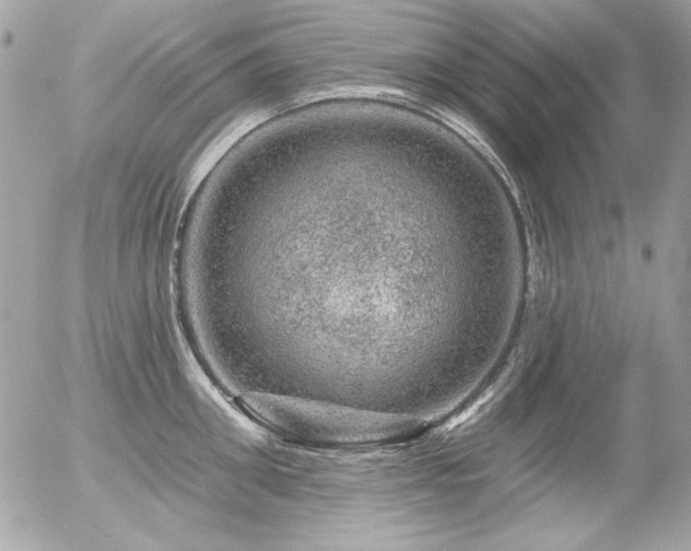 X0000056330906200508261217