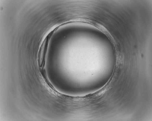 X0000056330908200508261217