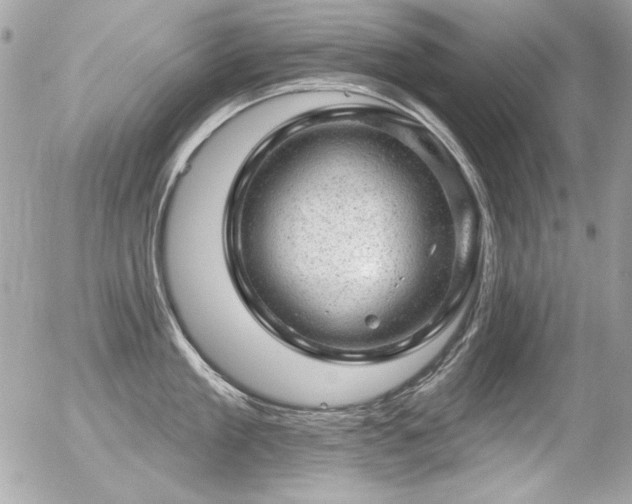 X0000056330909200508261217