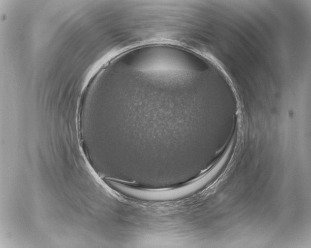 X0000056330910200508261217