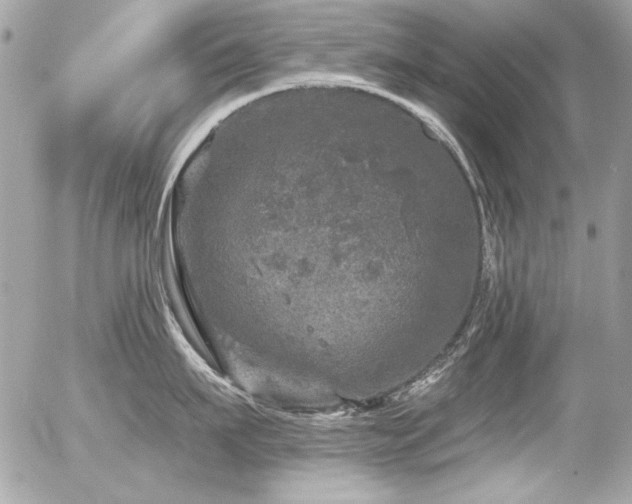 X0000056330911200508261217