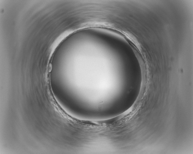 X0000056330912200508261217