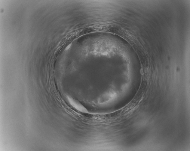 X0000056330913200508261216