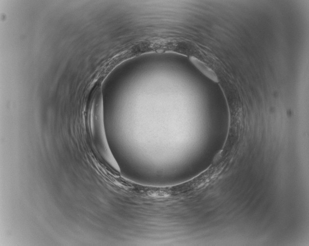 X0000056330914200508261216