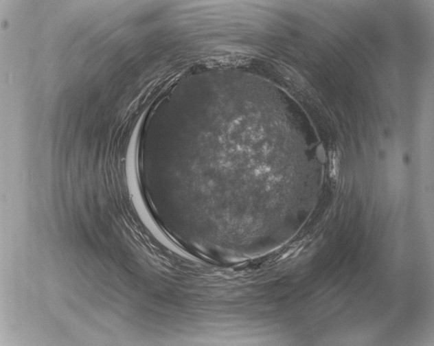 X0000056330915200508261216