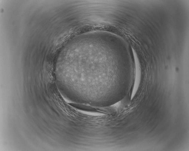 X0000056330916200508261216