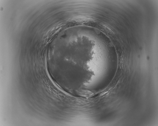 X0000056330917200508261216