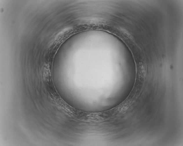 X0000056330918200508261216