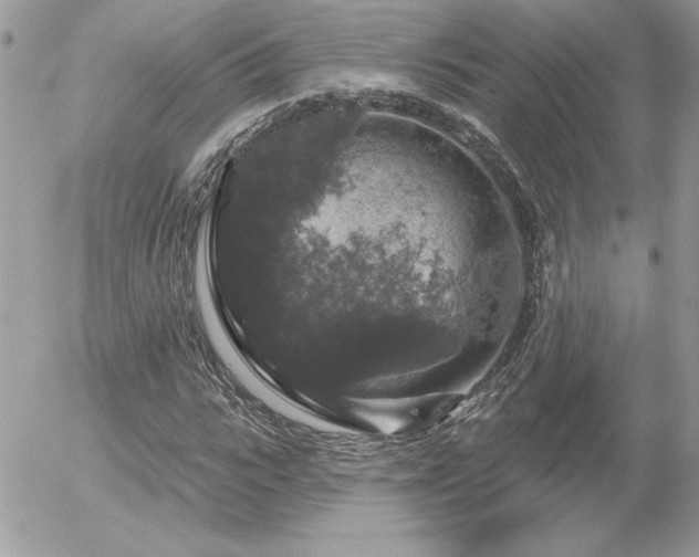 X0000056330919200508261216