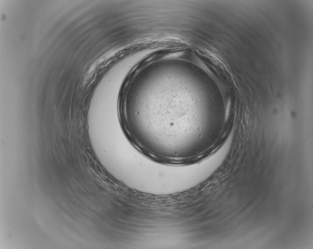 X0000056330920200508261216