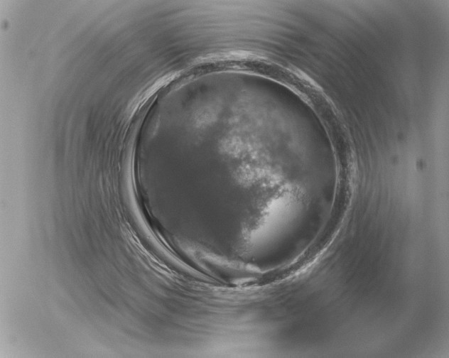 X0000056330921200508261216