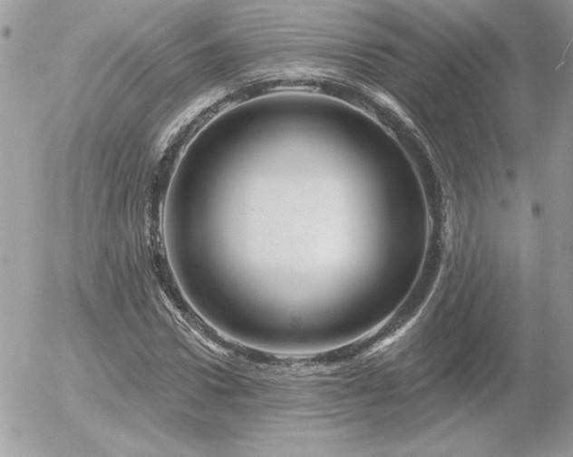 X0000056330922200508261217