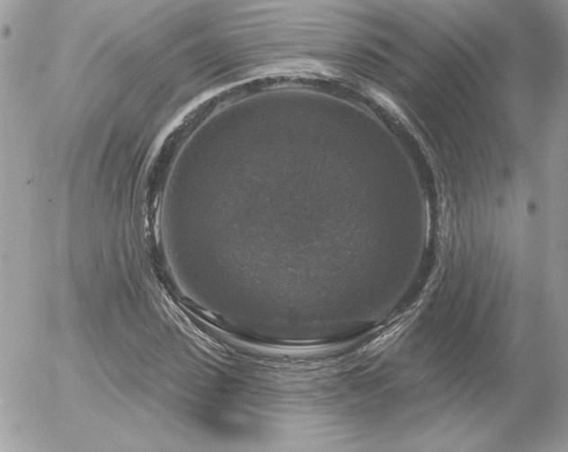 X0000056330923200508261217