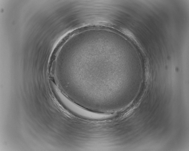 X0000056330924200508261217