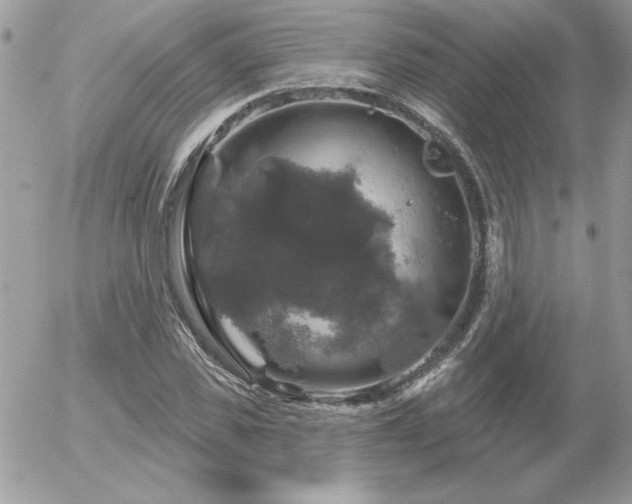 X0000056330925200508261217