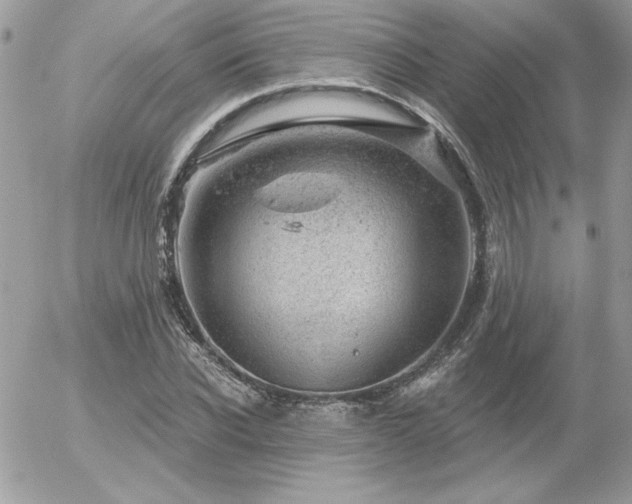 X0000056330926200508261217