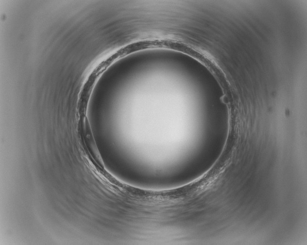 X0000056330927200508261217