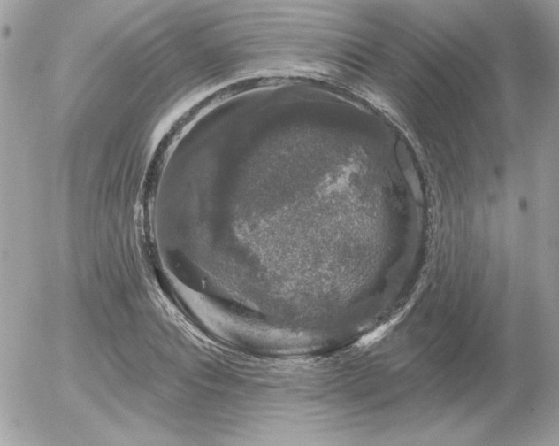 X0000056330928200508261217