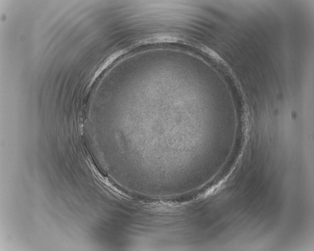 X0000056330929200508261217