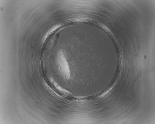 X0000056330930200508261217