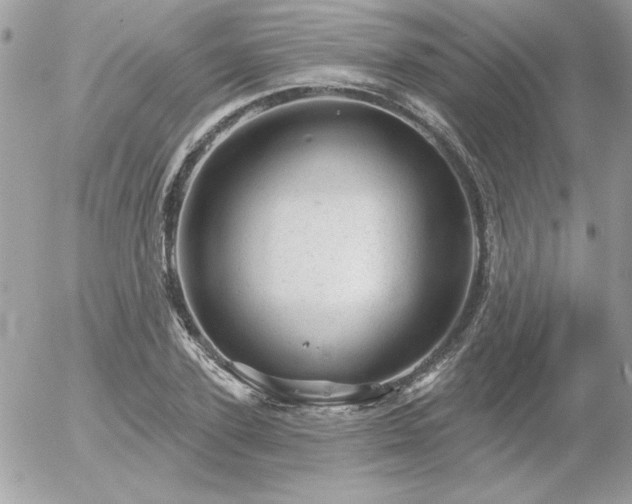 X0000056330931200508261217