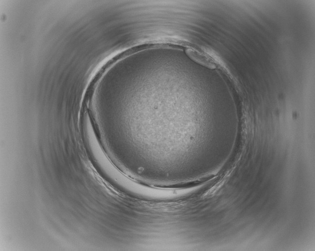 X0000056330932200508261217