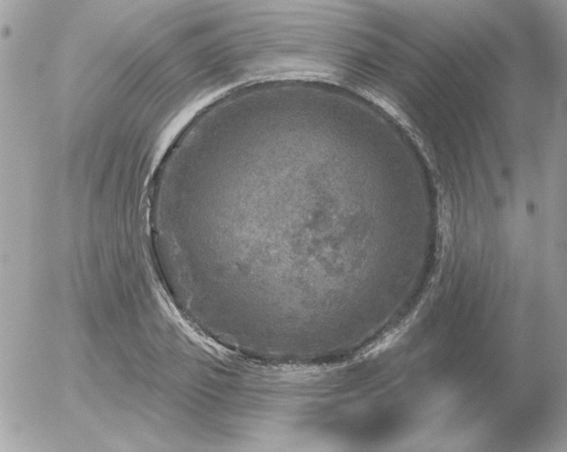 X0000056330933200508261217