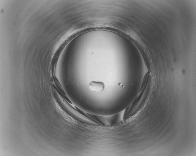 X0000056330934200508261217