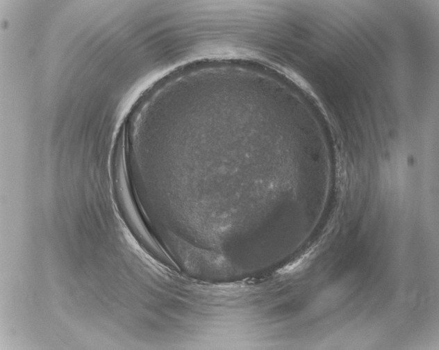 X0000056330935200508261217