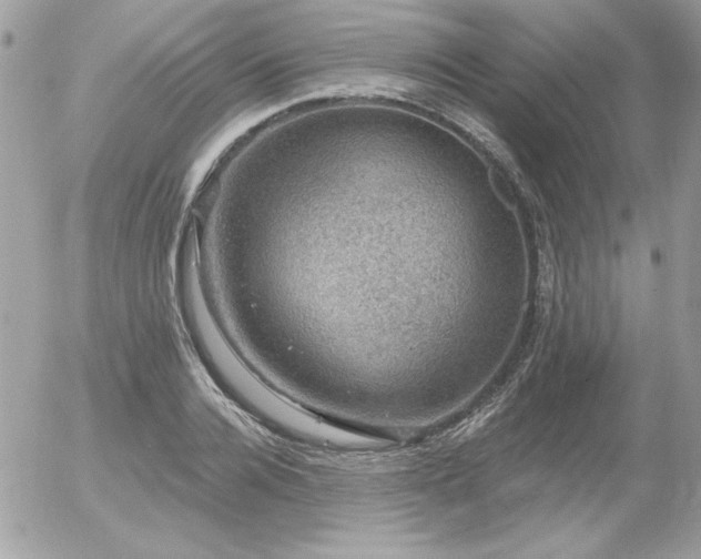 X0000056330936200508261217