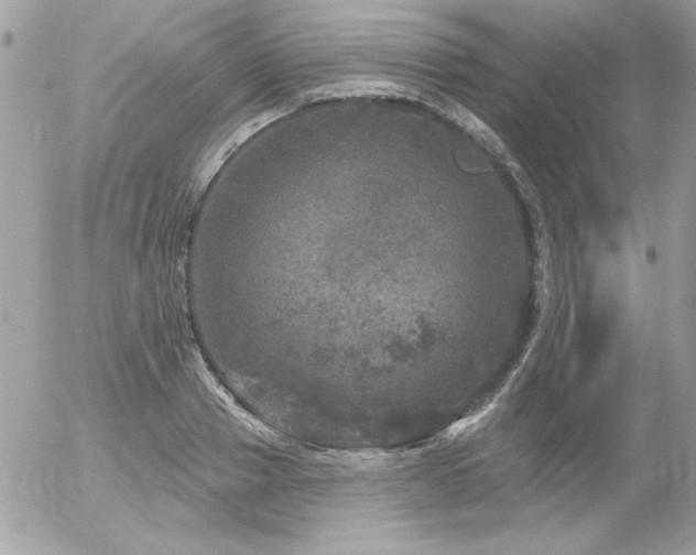 X0000056330937200508261217