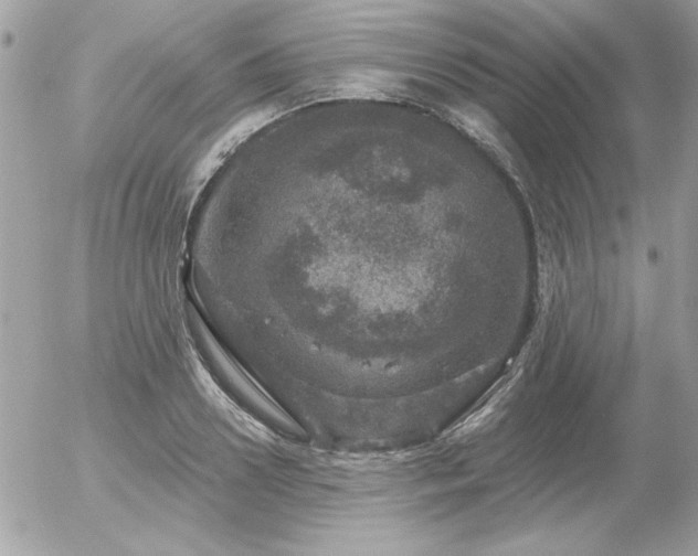 X0000056330938200508261217