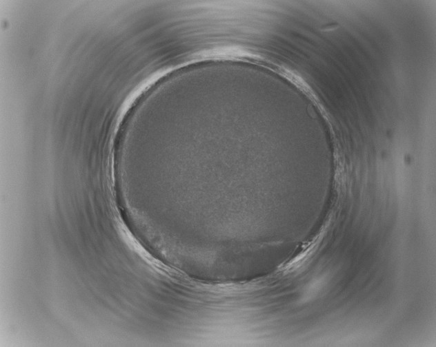 X0000056330939200508261217