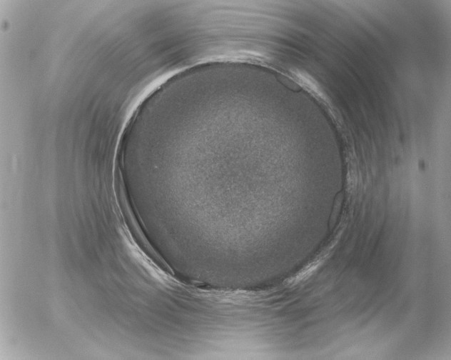 X0000056330940200508261217