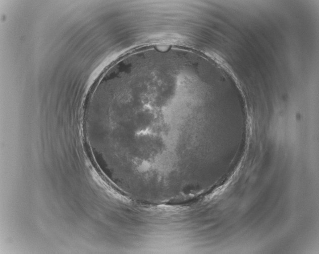 X0000056330941200508261217