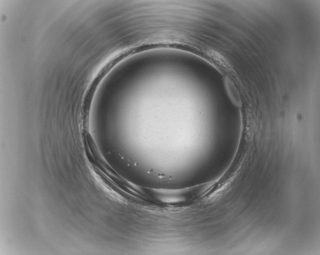 X0000056330942200508261217