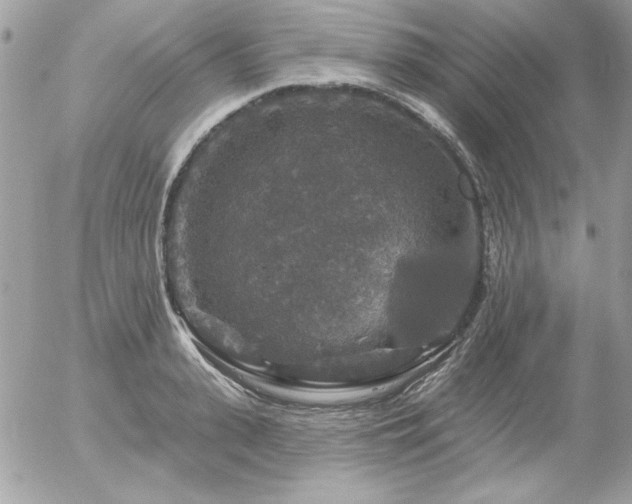 X0000056330943200508261217