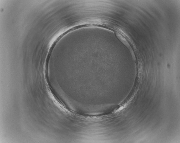 X0000056330944200508261217