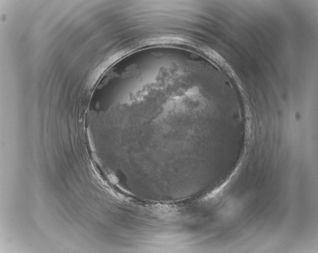 X0000056330945200508261217