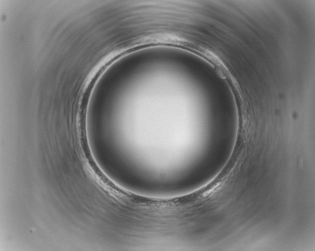 X0000056330947200508261217