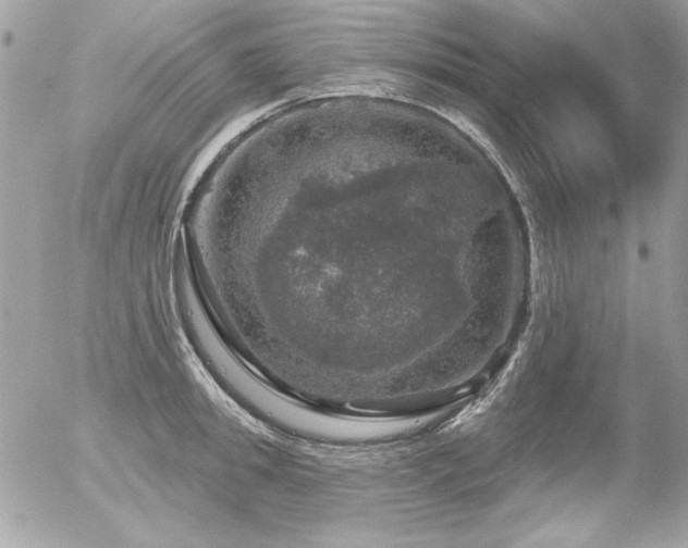 X0000056330949200508261217