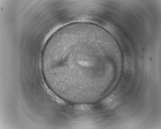 X0000056330950200508261217