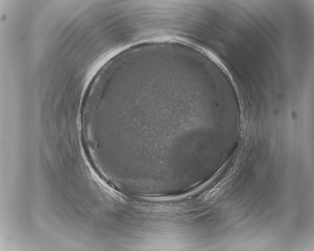 X0000056330951200508261217