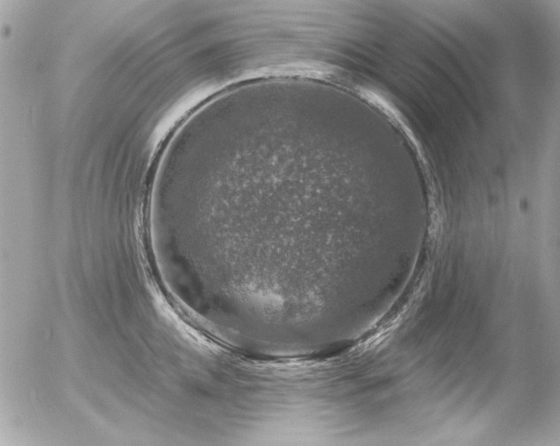 X0000056330952200508261217